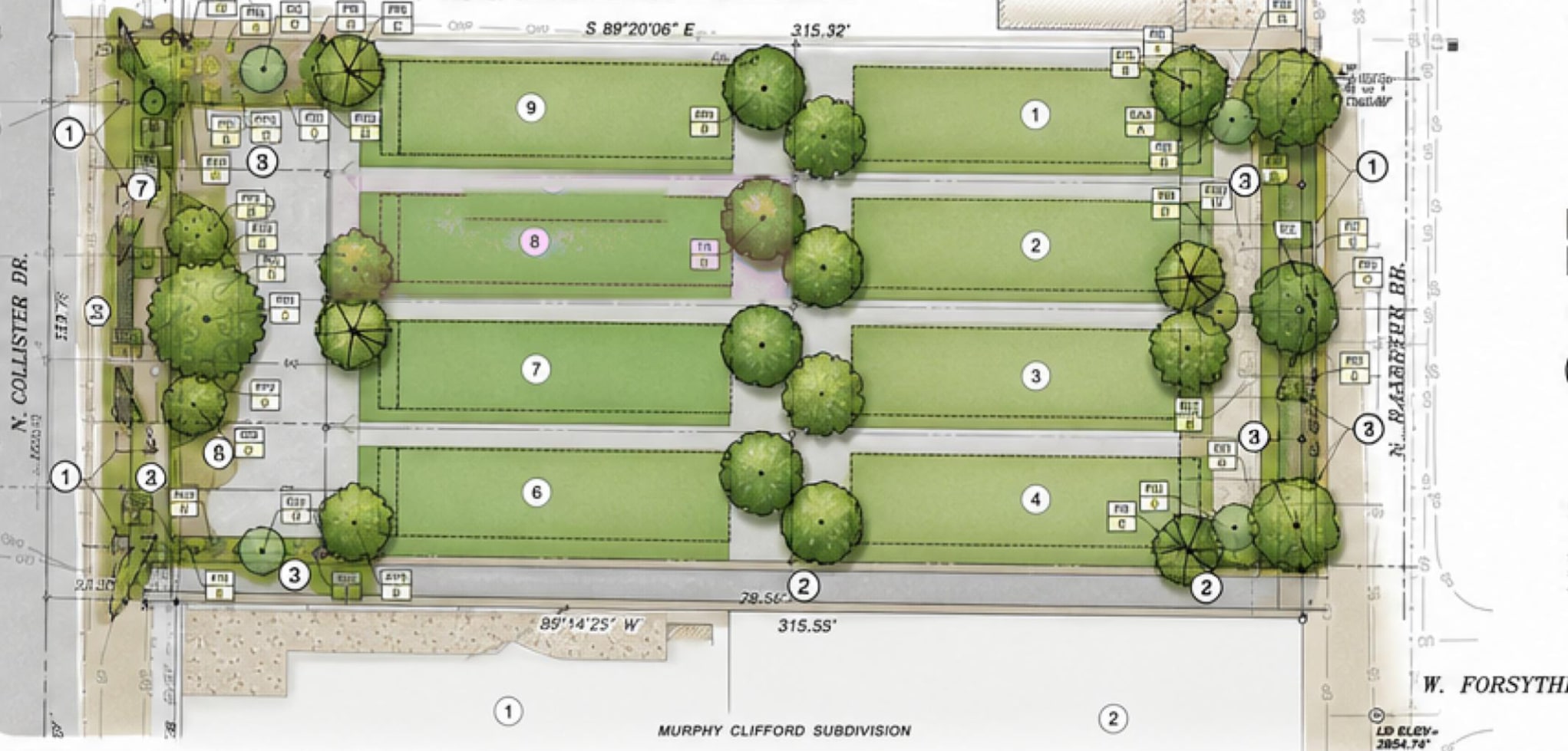 Preliminary landscape plan for Collister Village in Boise: eight residential lots in two rows either side of a shared drive, with street trees along the frontages and a planted buffer at the rear.